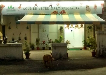 Acumed-veterinary-specialty-Veterinary-hospitals-Borivali-mumbai-Maharashtra-1