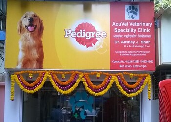Acuvet-veterinary-speciality-clinic-Veterinary-hospitals-Dadar-mumbai-Maharashtra-1