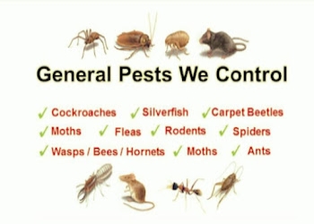 Adi-pest-control-service-Pest-control-services-Balangir-Odisha-2