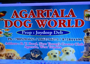 Agartala-dog-world-veterinar-clinic-Veterinary-hospitals-Agartala-Tripura-1
