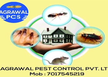 Agrawal-pest-control-service-Pest-control-services-Mathura-Uttar-pradesh-1