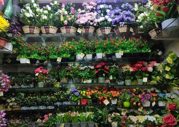 Aiyappas-florist-Flower-shops-Madurai-Tamil-nadu-3
