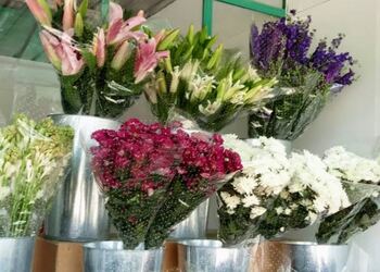 Ajay-flower-shop-Flower-shops-New-delhi-Delhi-1