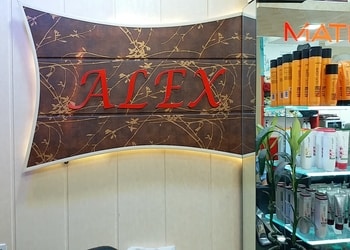 Alex-unisex-salon-Bridal-makeup-artist-Sector-61-chandigarh-Chandigarh-1