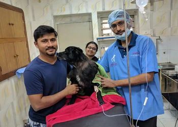 All-creatures-animal-clinic-Veterinary-hospitals-Secunderabad-Telangana-3
