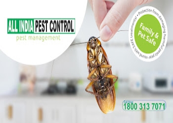 All-india-pest-control-Pest-control-services-Vasant-vihar-delhi-Delhi-2