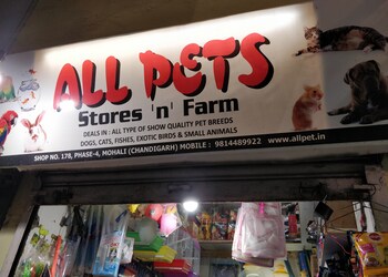 All-pets-stores-n-farm-Pet-stores-Chandigarh-Chandigarh-1