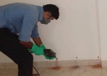 Amicare-services-private-limited-Pest-control-services-Ernakulam-Kerala-3