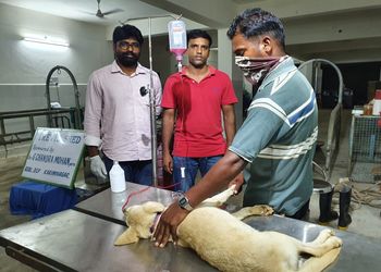 Amigo-pet-clinic-Veterinary-hospitals-Karimnagar-Telangana-3