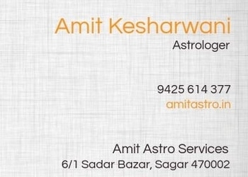 Amit-astro-services-Astrologers-Sagar-Madhya-pradesh-1