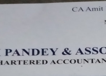 Amit-k-pandey-associates-chartered-accountants-Chartered-accountants-Dlf-ankur-vihar-ghaziabad-Uttar-pradesh-1