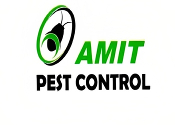 Amit-pest-control-Pest-control-services-Deolali-nashik-Maharashtra-1