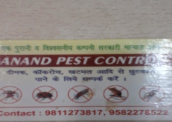 Anand-pest-control-Pest-control-services-Pitampura-delhi-Delhi-1