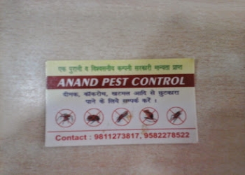 Anand-pest-control-Pest-control-services-Pitampura-delhi-Delhi-2