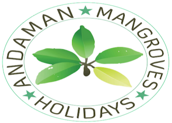 Andaman-mangroves-holidays-Car-rental-Port-blair-Andaman-and-nicobar-islands-1