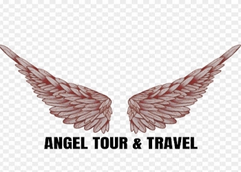 Angel-tour-travels-Travel-agents-Channi-himmat-jammu-Jammu-and-kashmir-1