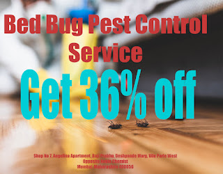 Angelina-pest-control-services-Pest-control-services-Vile-parle-mumbai-Maharashtra-2