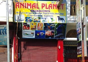 Animal-planet-Pet-stores-Gaya-Bihar-1