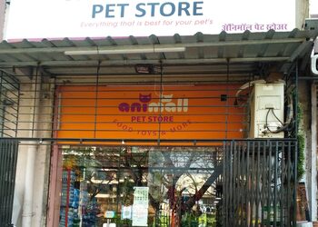 Animall-pet-store-Pet-stores-Navi-mumbai-Maharashtra-1