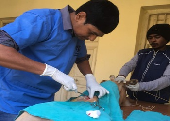 Anjali-pet-clinic-Veterinary-hospitals-Ratu-ranchi-Jharkhand-2