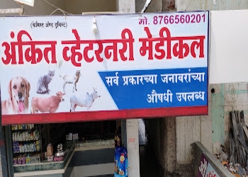 Ankit-veterinary-medical-Veterinary-hospitals-Amravati-Maharashtra-2
