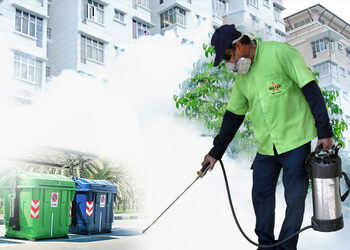 Ankita-pest-control-service-Pest-control-services-Manpada-kalyan-dombivali-Maharashtra-2
