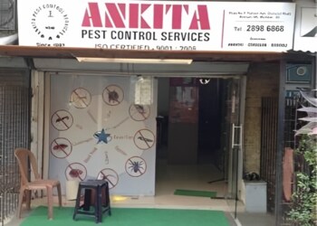 Ankita-pest-control-services-Pest-control-services-Borivali-mumbai-Maharashtra-1