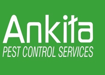 Ankita-pest-control-services-Pest-control-services-Churchgate-mumbai-Maharashtra-1