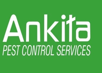 Ankita-pest-control-services-Pest-control-services-Jogeshwari-mumbai-Maharashtra-1