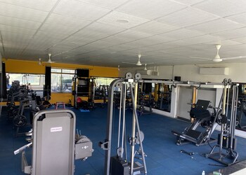 Annie-fitness-Gym-equipment-stores-Ahmedabad-Gujarat-2