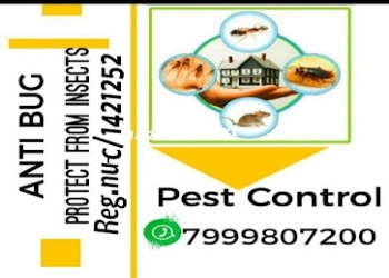 Anti-bugs-pest-control-Pest-control-services-Gwalior-Madhya-pradesh-1