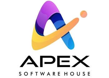 Apex-software-house-Digital-marketing-agency-Bhavnagar-Gujarat-1