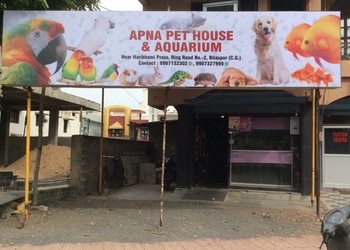 Apna-pet-house-aquarium-shop-Pet-stores-Bilaspur-Chhattisgarh-1