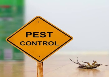 Arise-pest-control-services-Pest-control-services-Kachiguda-hyderabad-Telangana-1