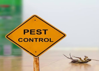 Arise-pest-control-services-Pest-control-services-Mehdipatnam-hyderabad-Telangana-1