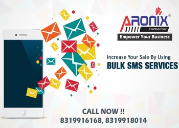 Aronix-Digital-marketing-agency-Bhilai-Chhattisgarh-2
