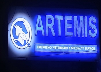 Artemis-pet-clinic-Veterinary-hospitals-Meerut-Uttar-pradesh-1