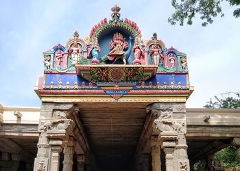 Arulmigu-nellaiappar-temple-Temples-Tirunelveli-Tamil-nadu-1