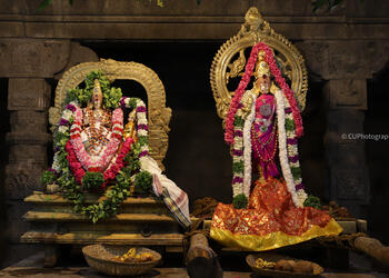 Arulmigu-nellaiappar-temple-Temples-Tirunelveli-Tamil-nadu-2