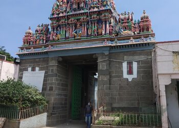 Arulmigu-sri-parthasarathy-perumal-temple-Temples-Chennai-Tamil-nadu-1