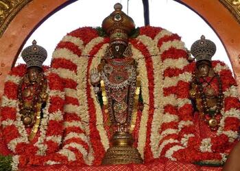 Arulmigu-sri-parthasarathy-perumal-temple-Temples-Chennai-Tamil-nadu-3