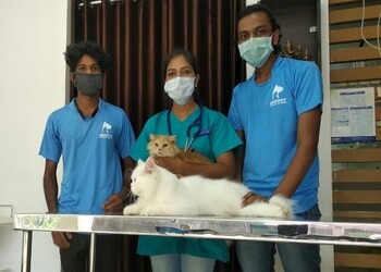 Aruma-multispeciality-pet-hospital-Veterinary-hospitals-Mavoor-Kerala-3