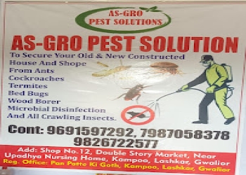 As-gro-pest-solution-Pest-control-services-Gwalior-Madhya-pradesh-1