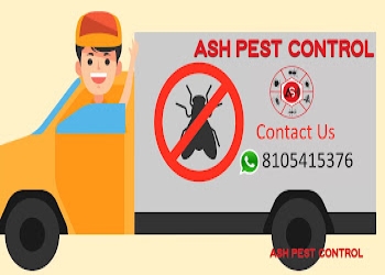 Ash-pest-control-Pest-control-services-Hampankatta-mangalore-Karnataka-2