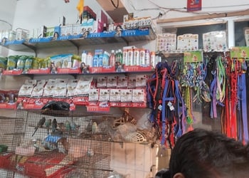 Ashif-pet-shop-and-fish-aquarium-Pet-stores-Basharatpur-gorakhpur-Uttar-pradesh-2