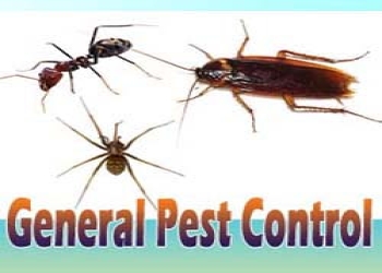 Assam-pest-control-Pest-control-services-Khanapara-guwahati-Assam-2