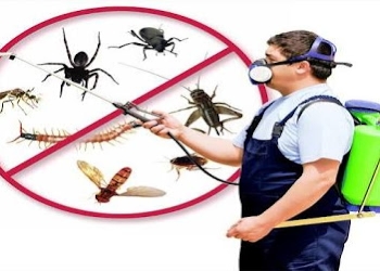 Associated-pest-control-services-Pest-control-services-Perambur-chennai-Tamil-nadu-1