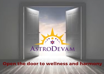 Astro-devam-Palmists-Sector-15a-noida-Uttar-pradesh-1