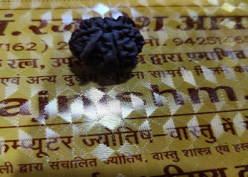 Astro-guru-pandit-rajnish-acharya-ji-Astrologers-Chhindwara-Madhya-pradesh-2