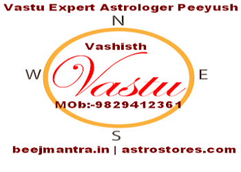 Astro-predictions-Vastu-consultant-Jaipur-Rajasthan-1